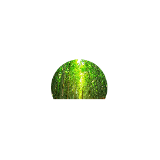马文韬头像